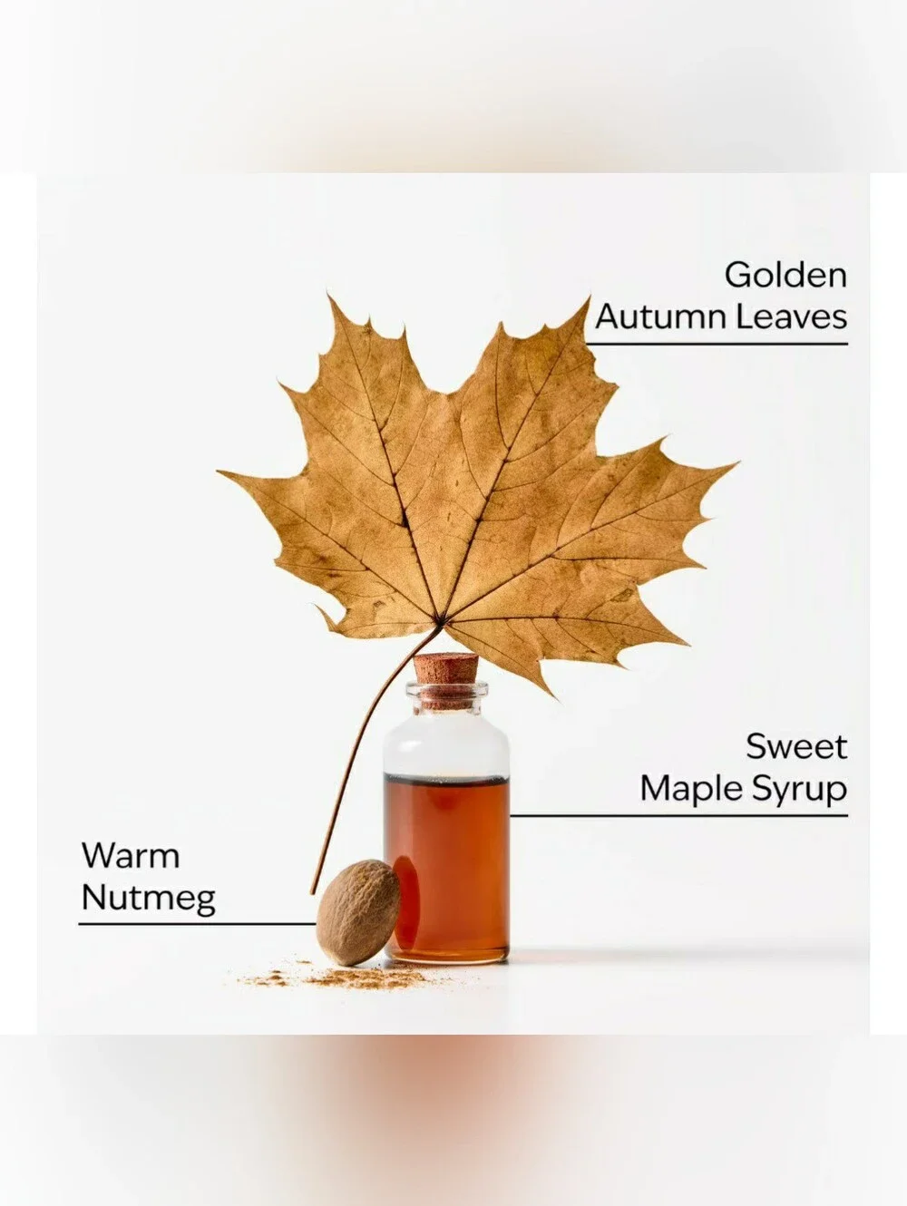 SWEET MAPLE & LEAVES -Bath & Body Works Candle Wax Melts- $8 per Pack